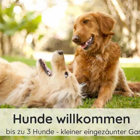 Der Fuchsbau - 3 Blockhaeuser *